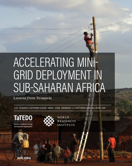 Accelerating Mini-grid Deployment in Sub-saharan Africa - Lessons from Tanzania 