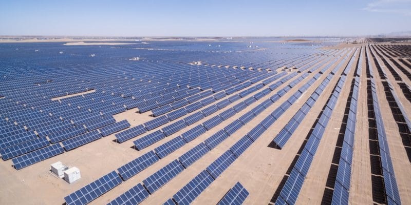 solar farm