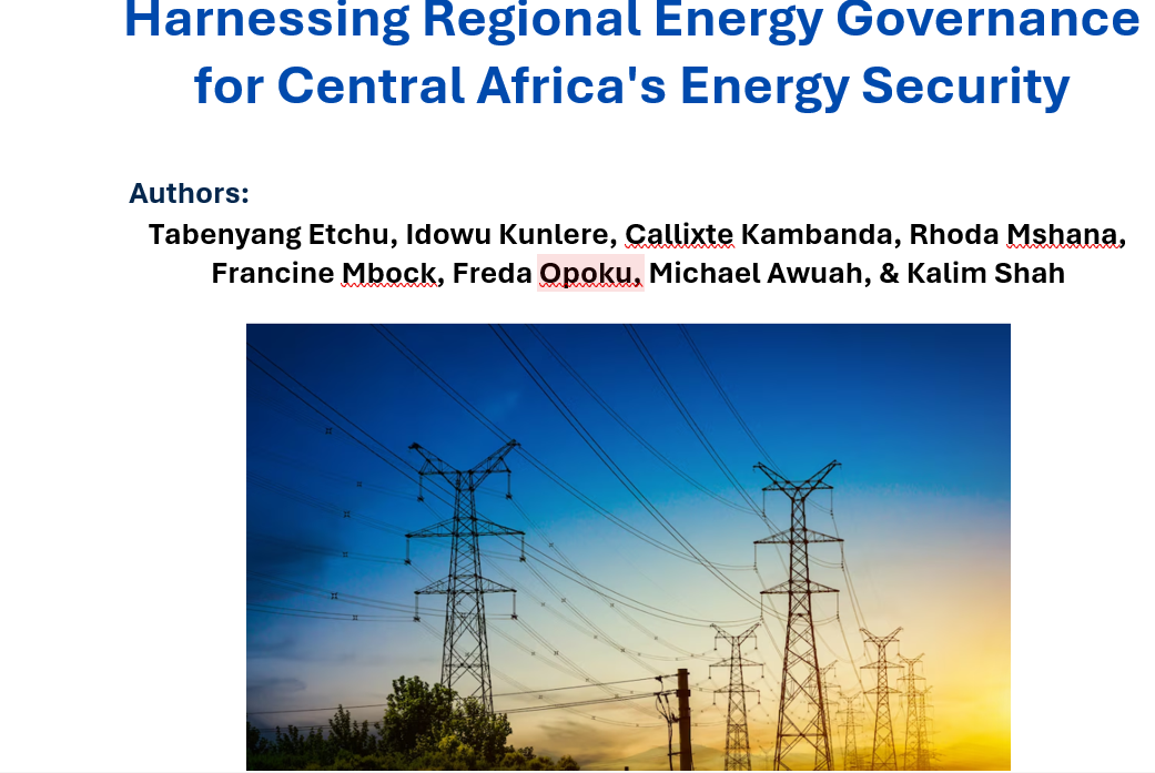 Report on Regional energy governance