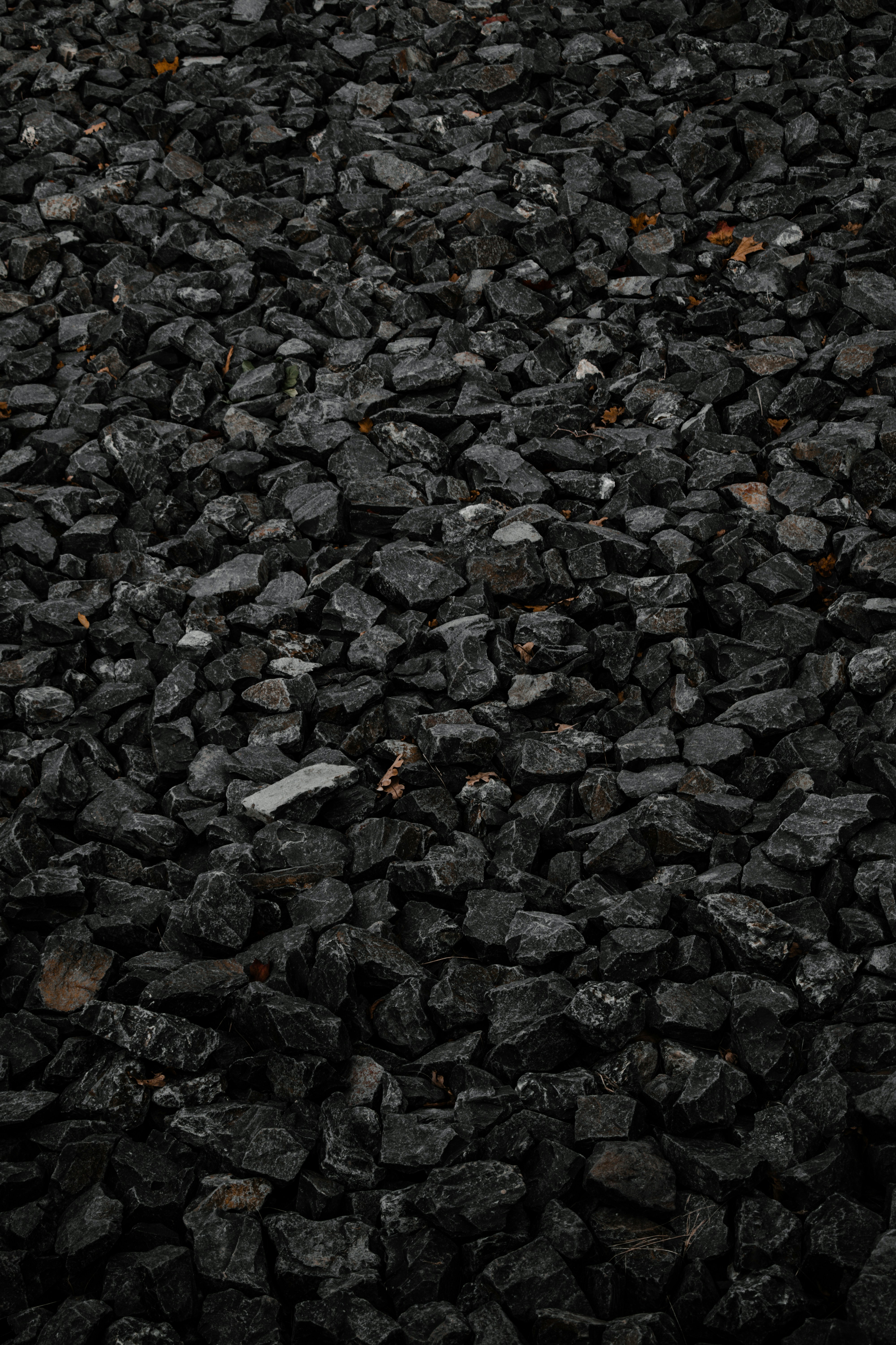 Coal