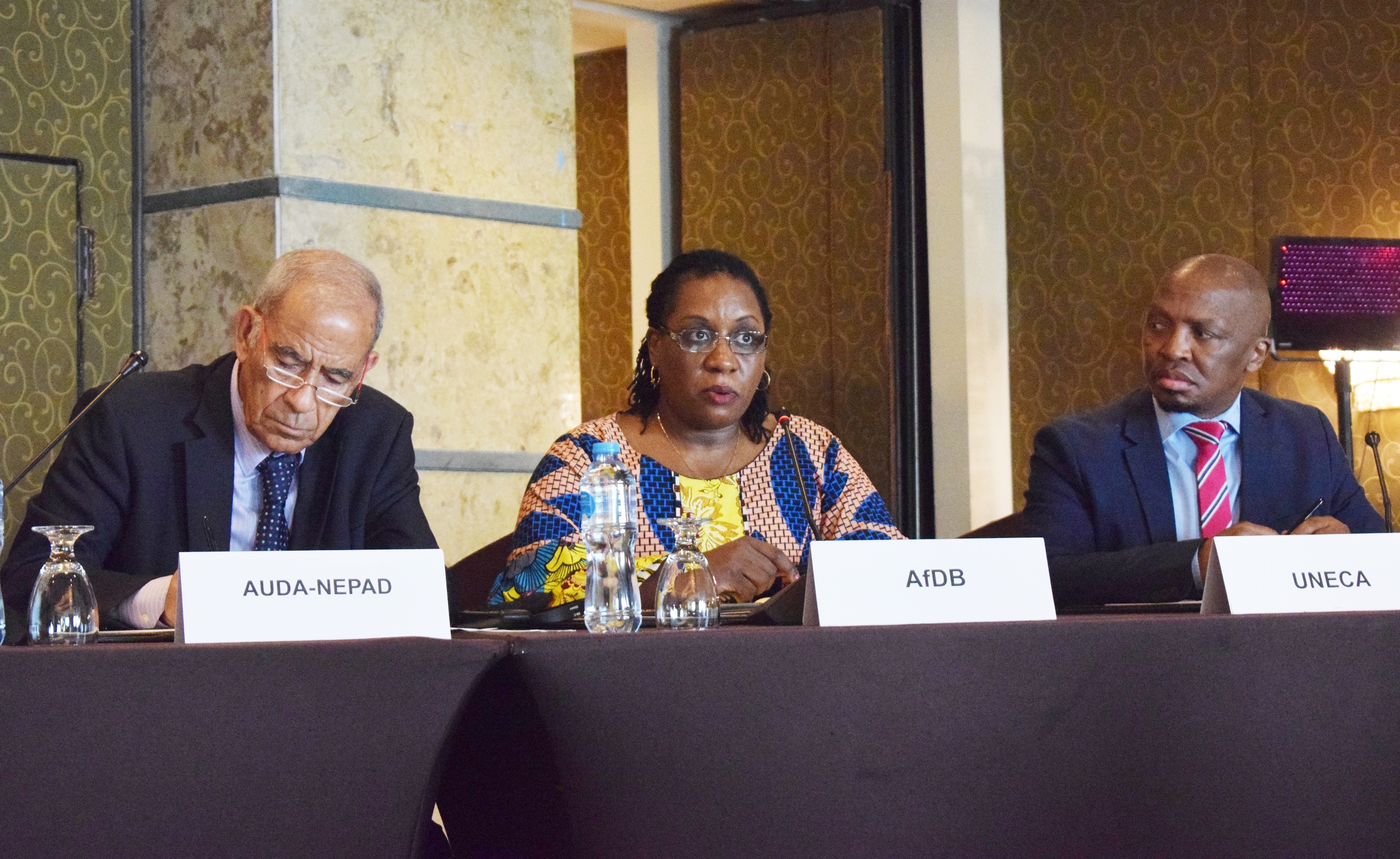 Angela's presentation at PIDA Week