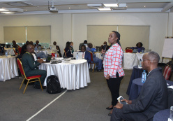 Capacity building