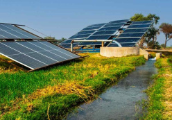 Solar Pump Irrigation