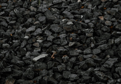 Coal