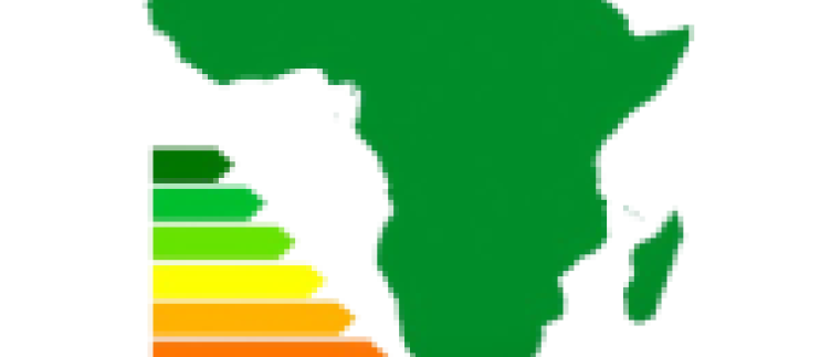AfEEA 2025