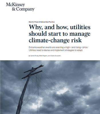 Extreme weather events are exacting a high—and rising—price. Utilities need to devise and implement strategies to adapt.