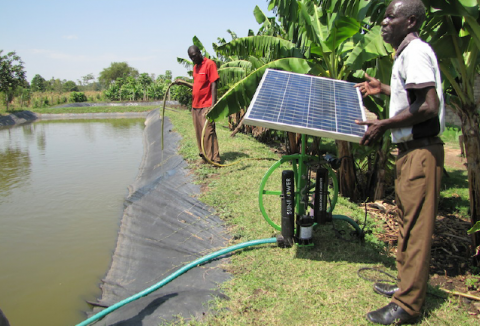 Solar-powered irrigation in Africa